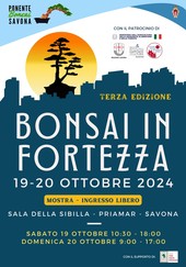 Bonsai in Fortezza