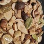 I funghi, dai porcini alle specie più curiose