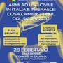 Armi e DDL Sicurezza