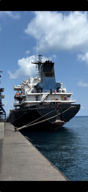 Savona, nave sequestrata dalla Guardia costiera