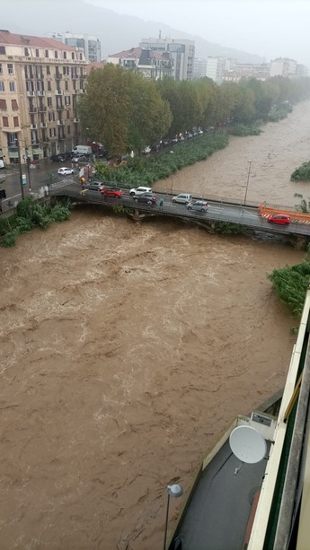 Savona, un'ordinanza per pulizia e manutenzione dei fiumi