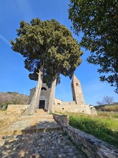 Quiliano, riprendono gli scavi nel Parco di San Pietro in Carpignano